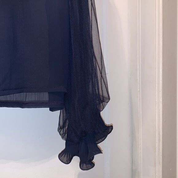 Beautiful Sheer Blouse - Picture 6 of 6